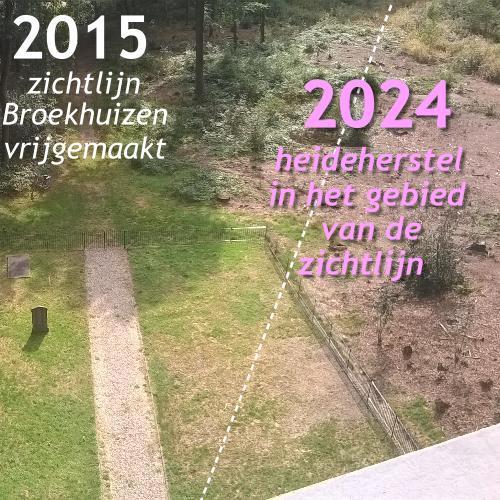 Op de plek van het verwijderde opschot wordt aan heideherstel gedaan.